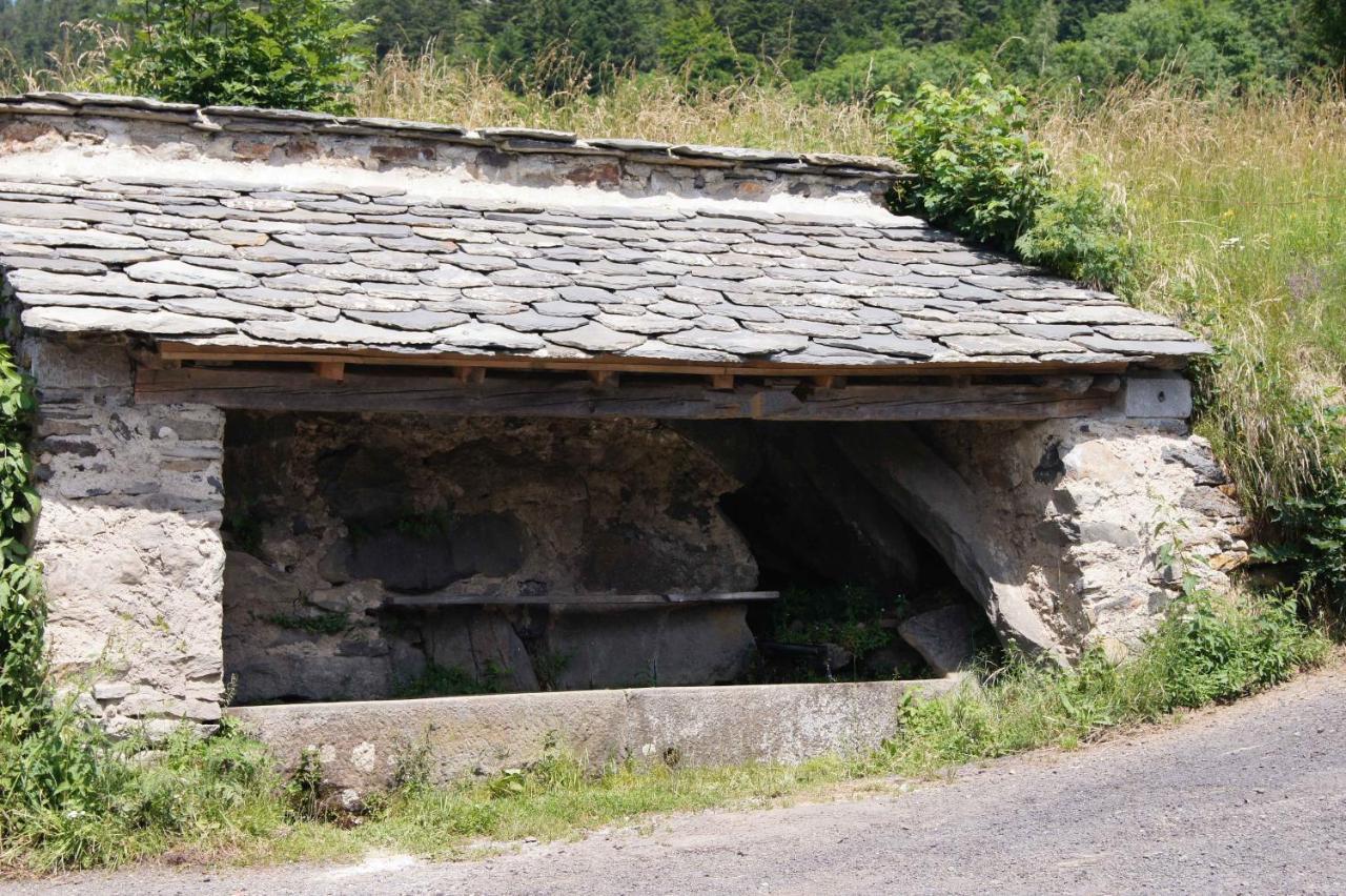 Ferienwohnung Chez Nave Au Pied Du Meygal Boussoulet Exterior foto