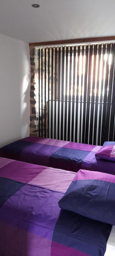 Ferienwohnung Chez Nave Au Pied Du Meygal Boussoulet Exterior foto