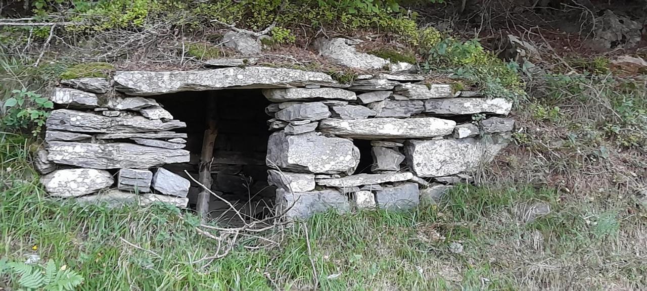Ferienwohnung Chez Nave Au Pied Du Meygal Boussoulet Exterior foto